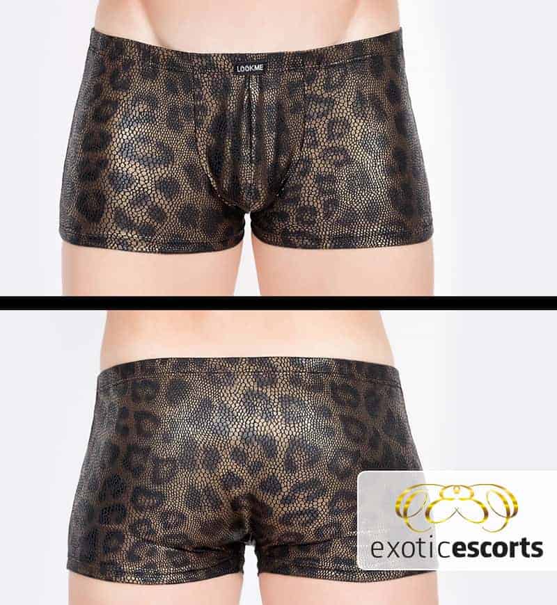 Pants_Sexy-Panther_gold-schwarz_1---Exotic-Escorts